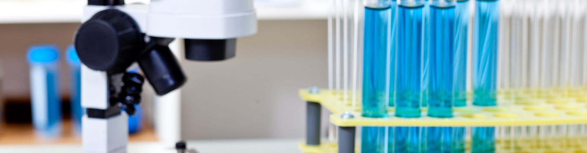 Day in the Life of a Science Grad: Paige’s Story